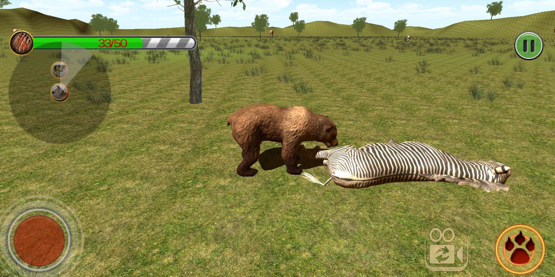 bear hunting