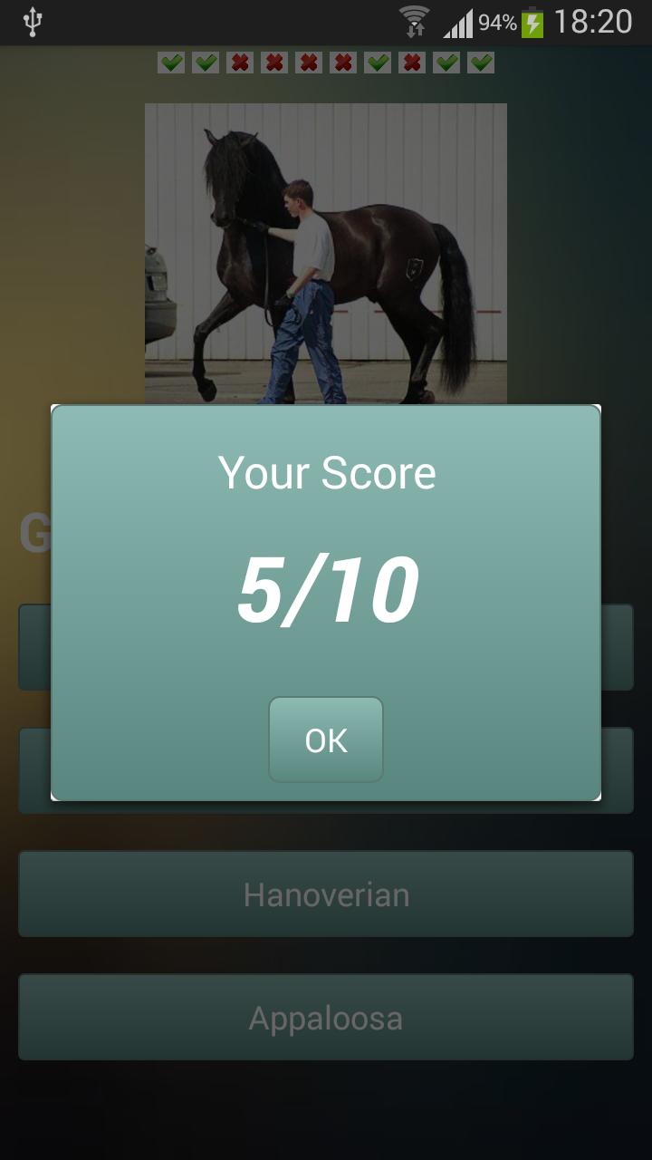Horse Challenge