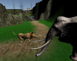 Lion Adventures