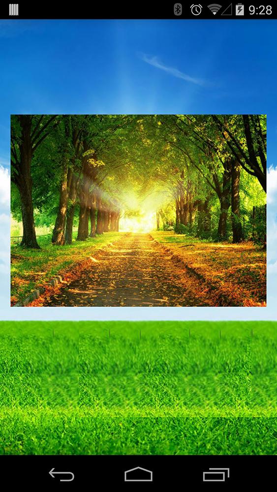Tile Jigsaw Nature