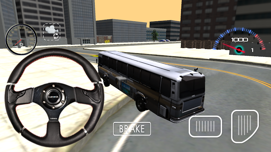 City Bus Driver