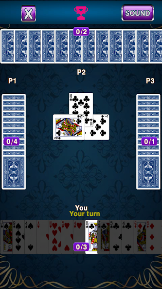 Call Break Card Game