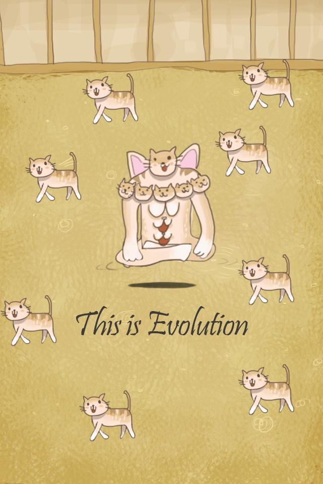 Cat Evolution Party