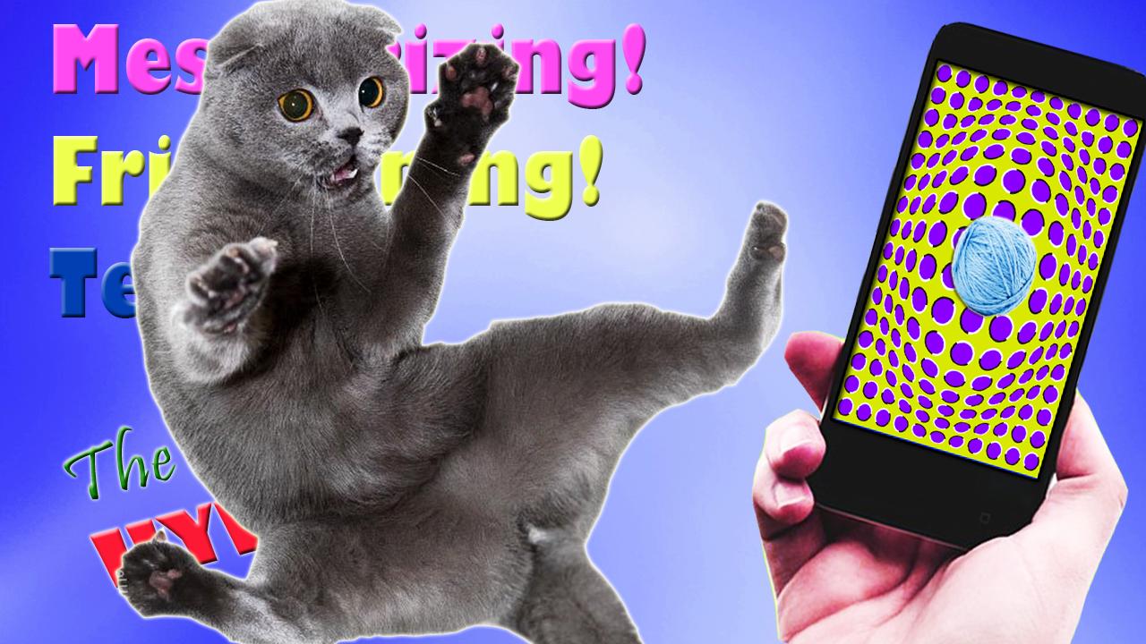 Hypnosis Subjection Cat Prank