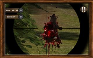 Real  Animals Hunting Africa