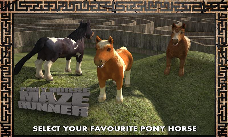 Pony Horse Maze Run Simulator