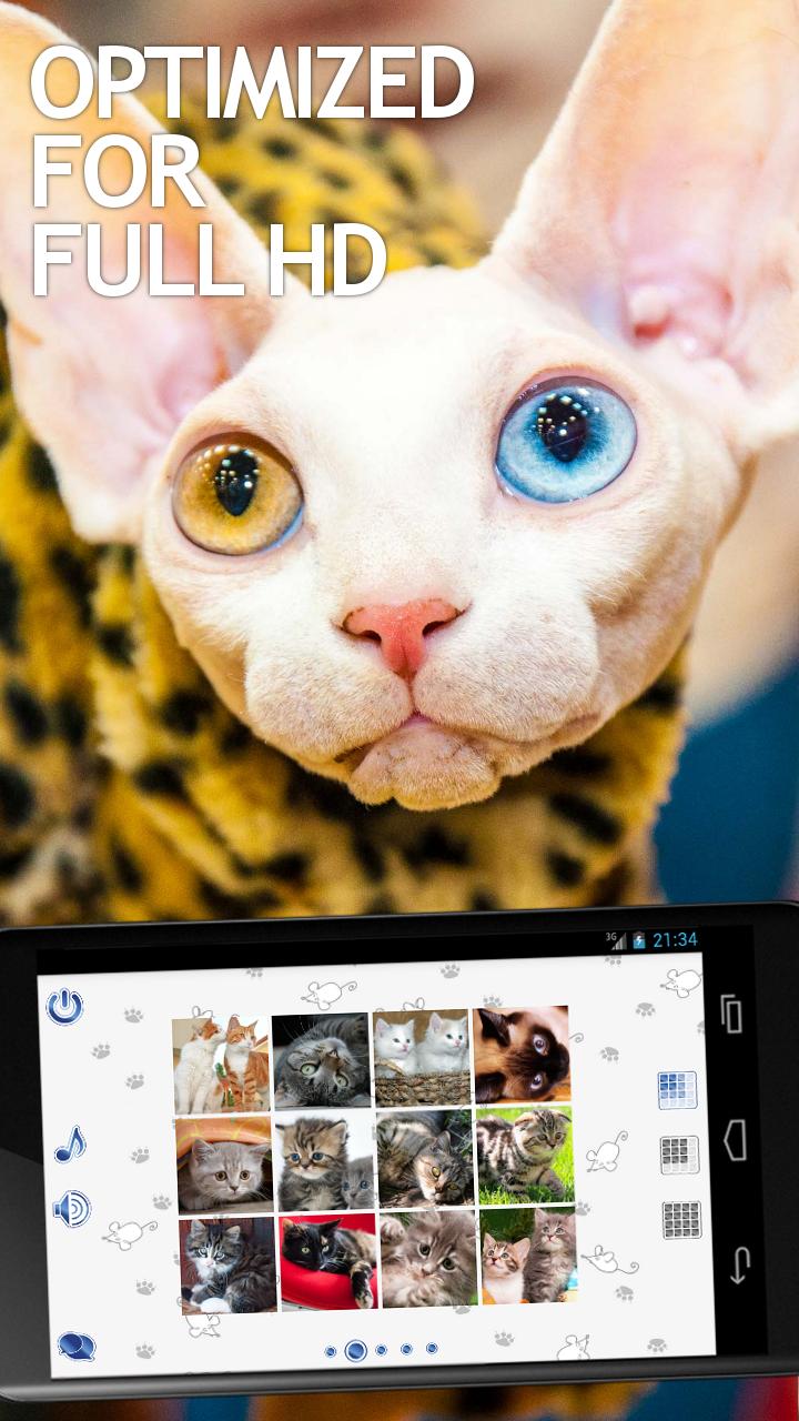 Jigsaw Puzzles Cats