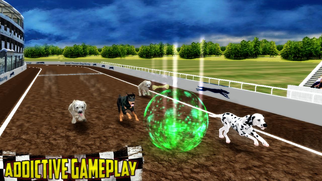 Ultimate Dog Race: greyhound Derby Race