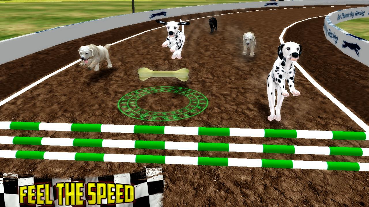 Ultimate Dog Race: greyhound Derby Race