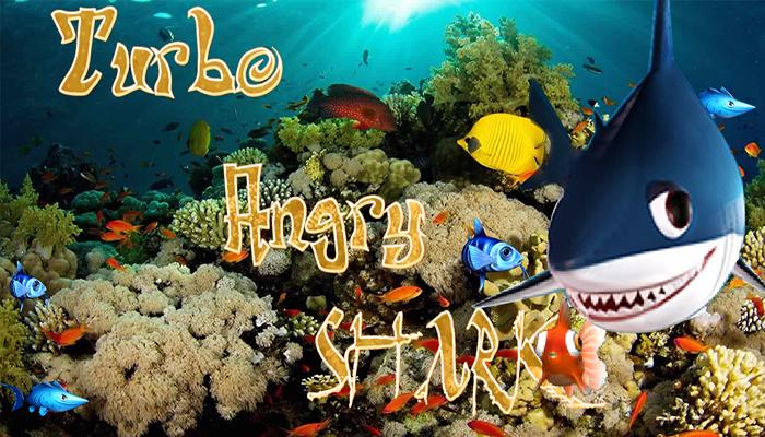 Turbo Angry Shark Fish